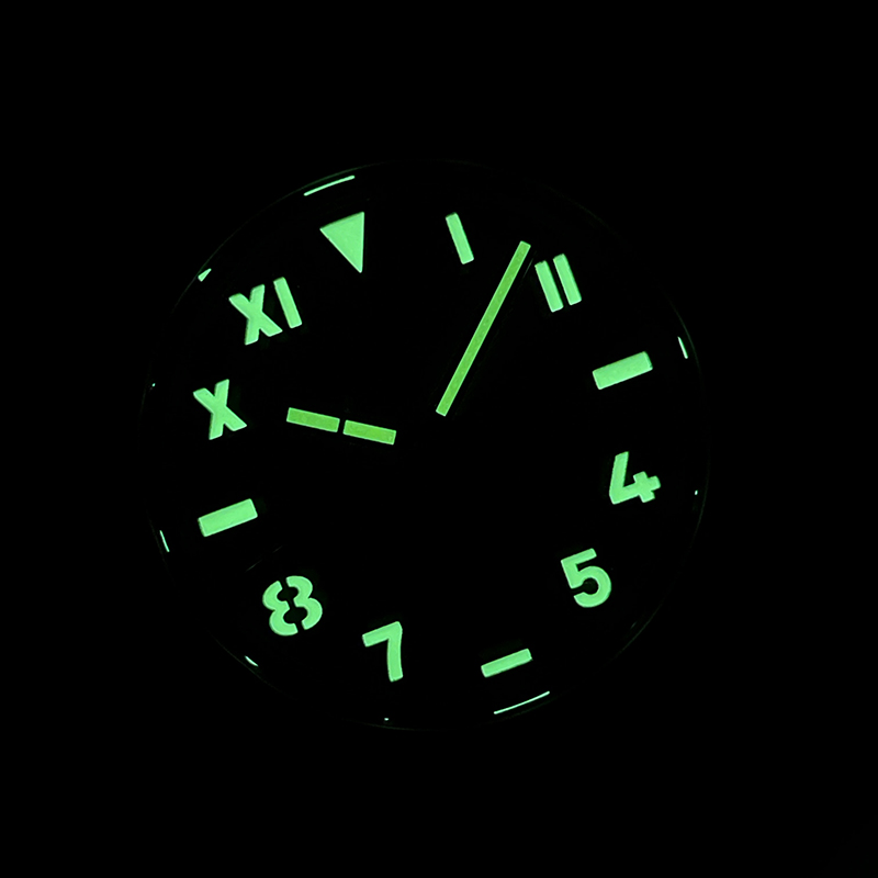 STEELDIVE Mannen Automatisch H - Seiko Watch Prospex recensie en prijs